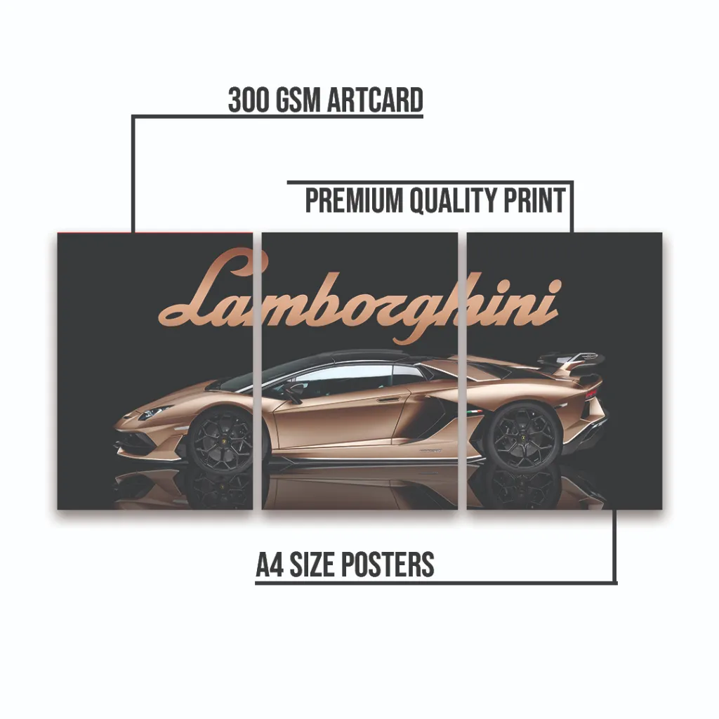 POSTER INFO PACK OF 3 copy.webp