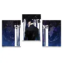 poster pack of 3 copy.webp