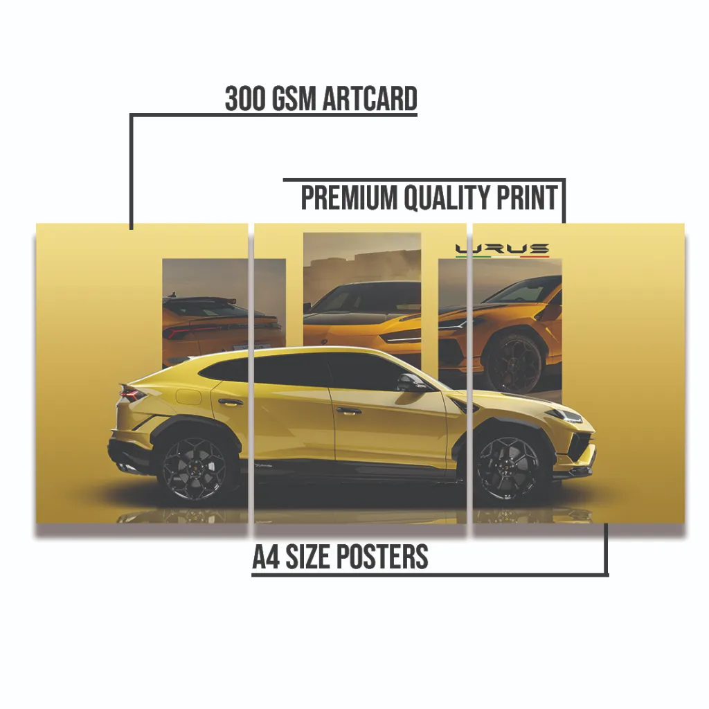 POSTER INFO PACK OF 3 copy.webp