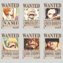 ONE PIECE wanted poster